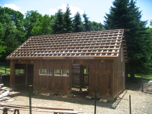 IMG_0260 IMG_0260