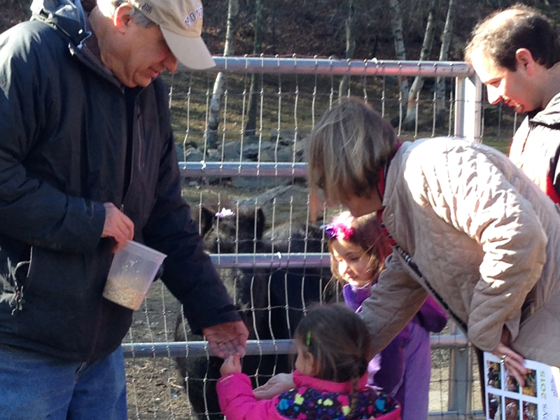 Bill helps a child with feeding animals