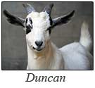 email_duncan