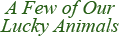 pic_title