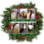 AdoptHoliday