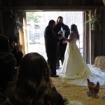 Safe Haven Wedding