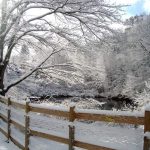 winteratsafehaven