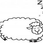 sleepingSheep