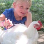 Brooke-Hen600