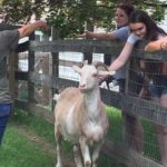 DonnaAndGoat500