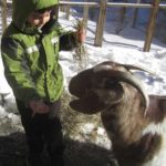 Mason-feeds-goat-600