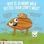 AlmondMilk300