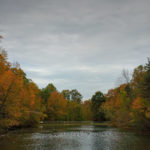DuckPondFall_DarkTop