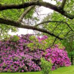 Spring2Tours