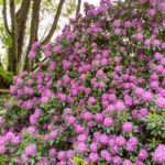 IMG_20170531_122749525_HDR