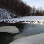 IMG_20180103_123751928