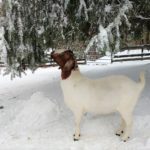 IMG_20181116_131729327