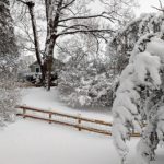 IMG_20180202_110110578