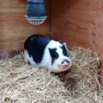 IMG_20180215_121039969