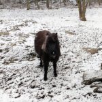 IMG_20180406_115353647