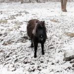 IMG_20180406_115353647