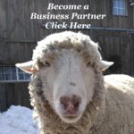 OllieBusinessPartner