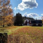 NewLocationBackground