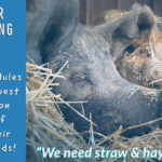 BannerWinterFundraiser