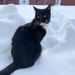 132022683_2844178585871062_7685505330799800082_n