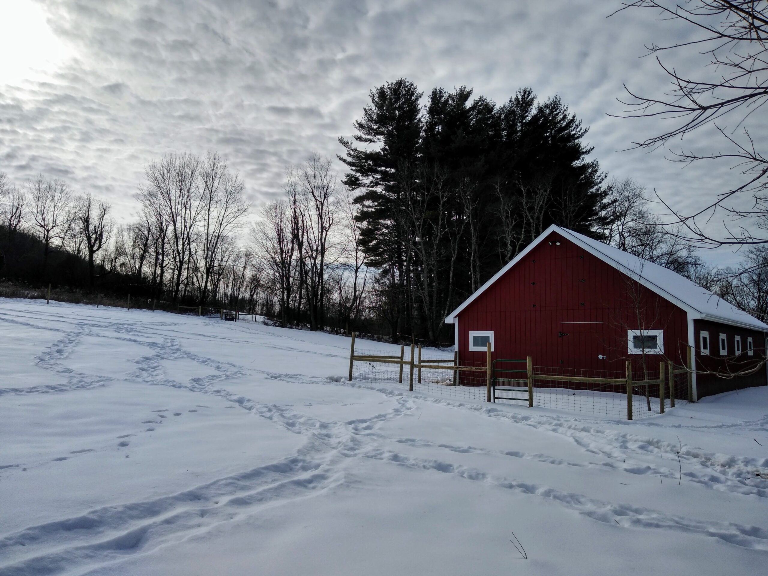 IMG_20201223_124006600_HDR~2