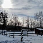 IMG_20201223_130349224_HDR~2