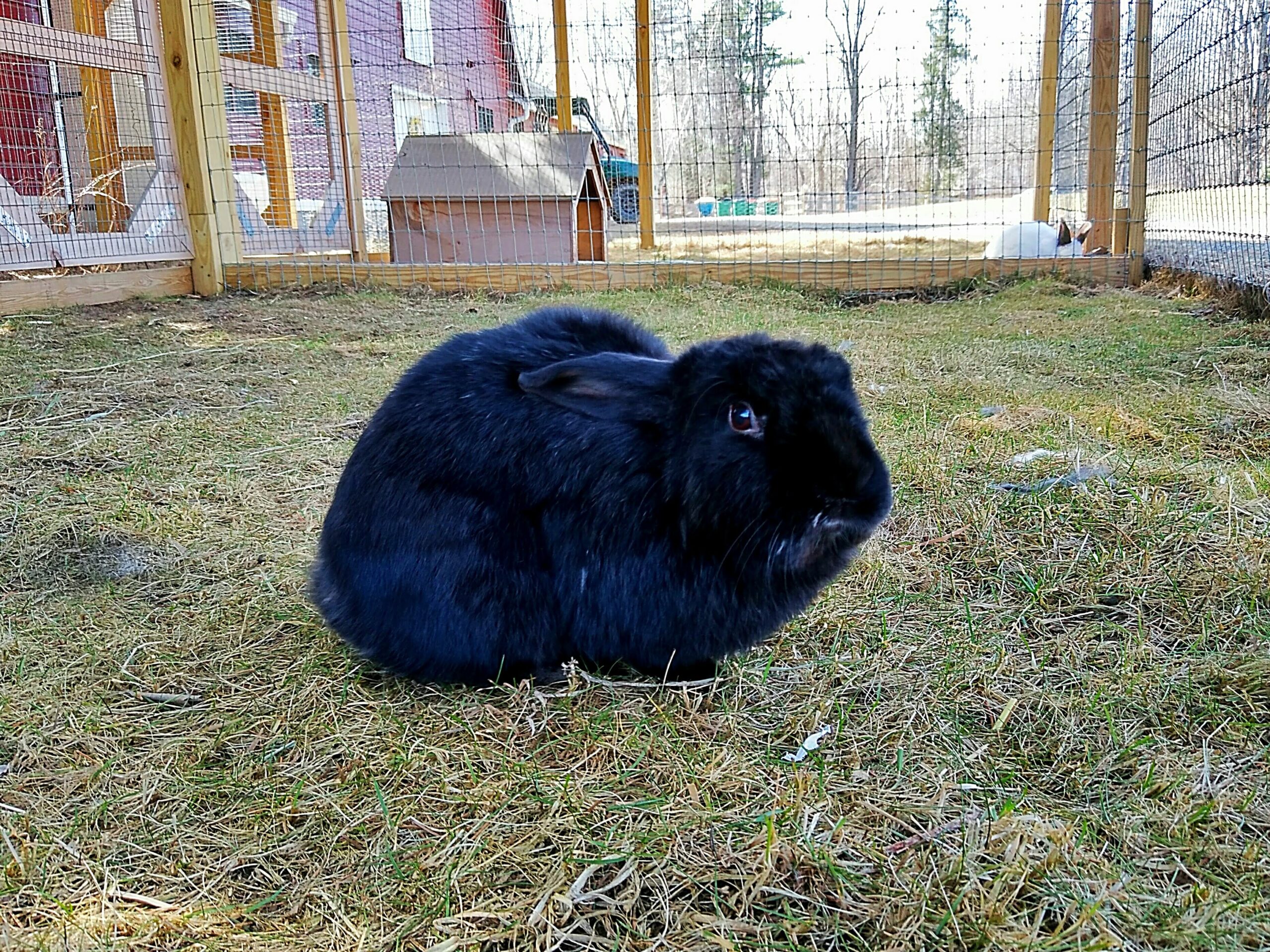 IMG_20210324_090658 – Copy