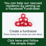 FacebookFundraiser