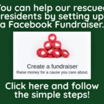 FacebookFundraiser