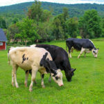 IMG_20210724_143947-2