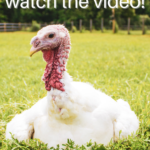 Red 3D Character 2x Times Table Math Poster