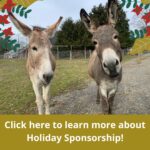 Green Wonderful Typography Christmas Instagram Post-2