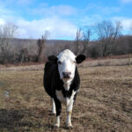 IMG_20210106_131039239-2