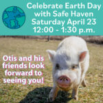 earth day(4)