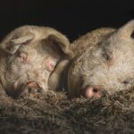 20241024-_DSC7852-Enhanced-NR-Edit