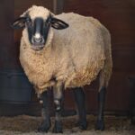 20241107-_DSC5884-Enhanced-NR-Edit