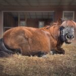 20241111-IMG_9873-Edit