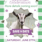 SummerEventWebSite