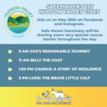HVGives_Schedule_Square