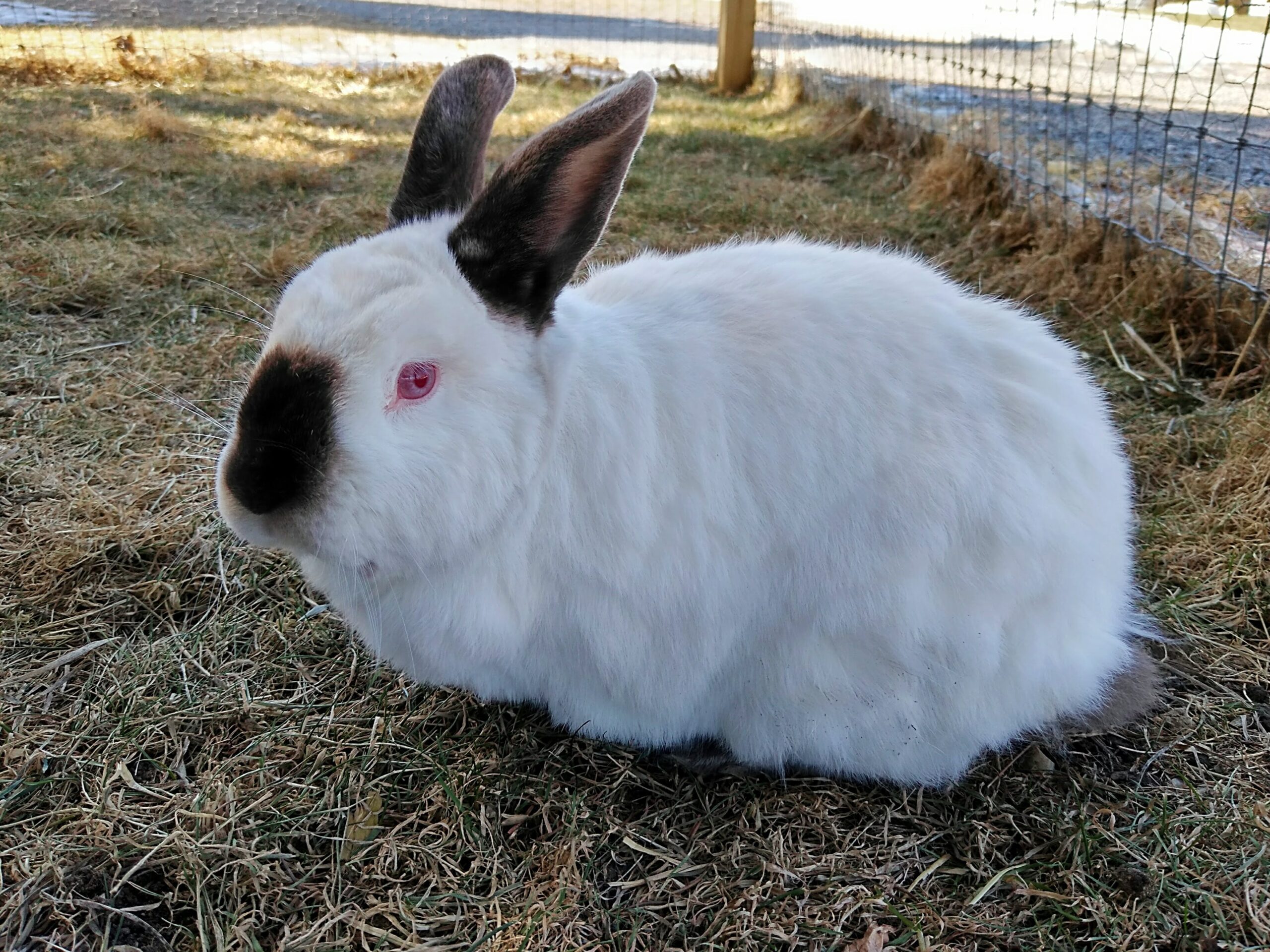 IMG_20210310_092914-Copy