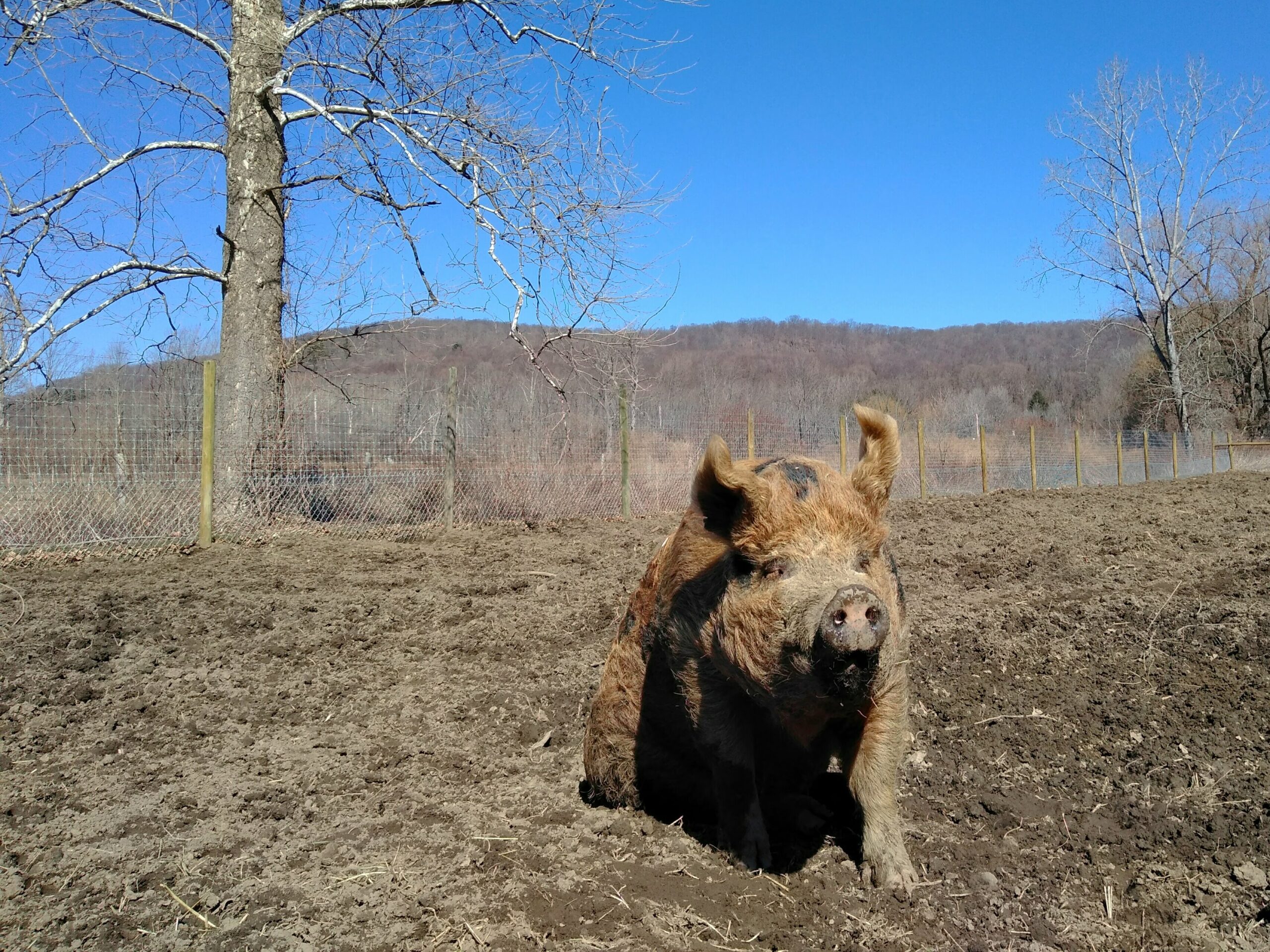 IMG_20210314_170616-Copy