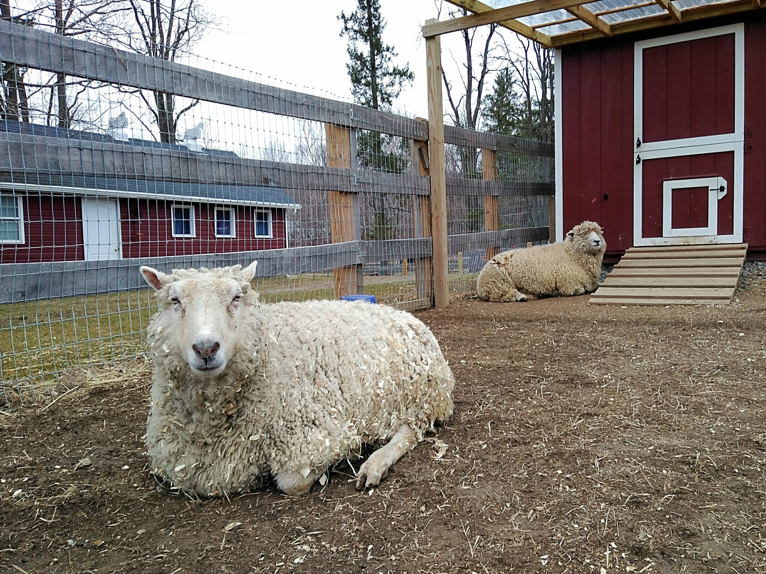 IMG_20210317_153611-Copy