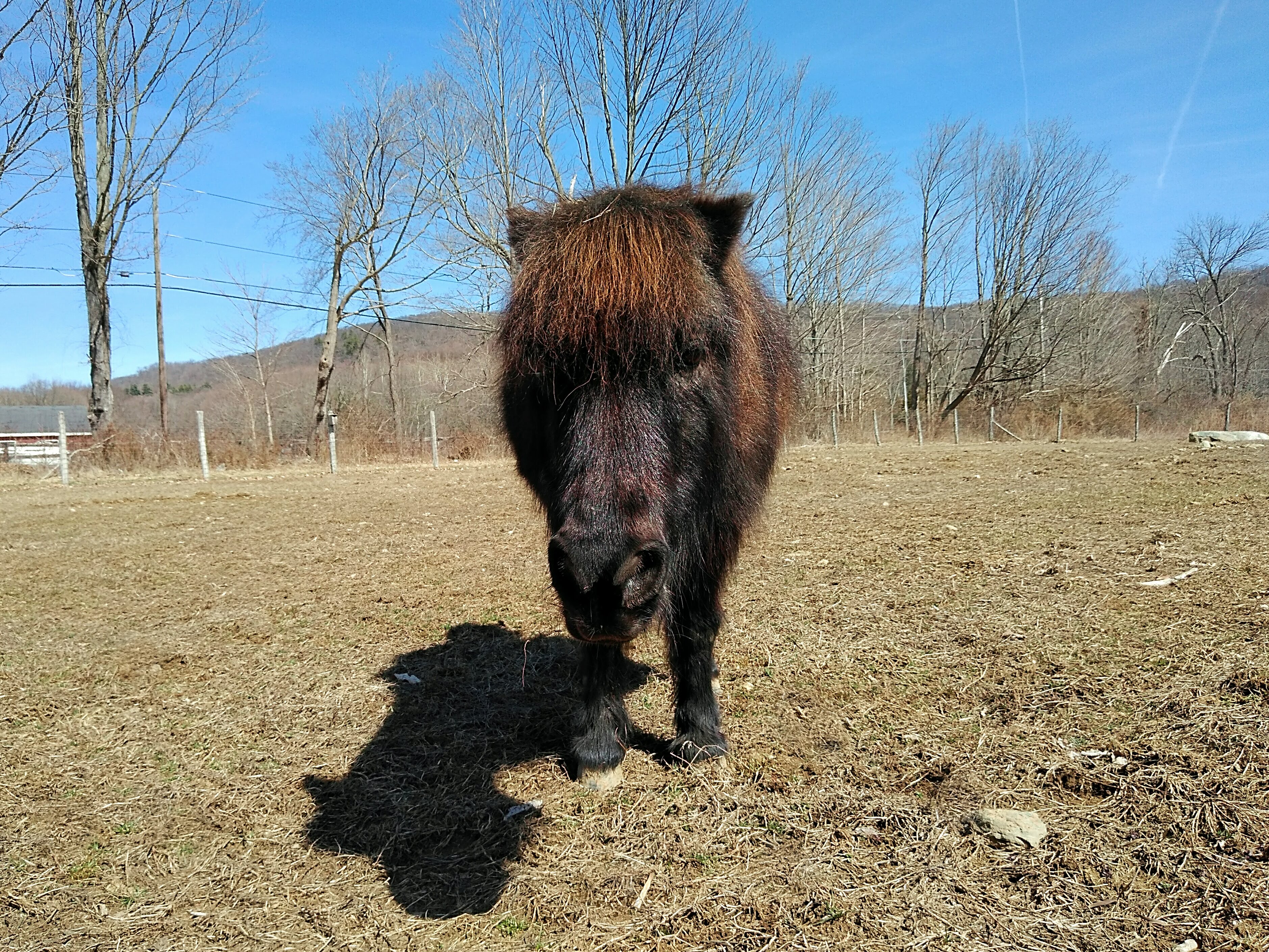 IMG_20210324_142101-Copy