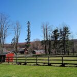 IMG_20210401_114458-Copy